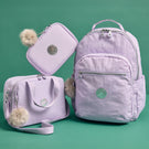 Lovely Lavender School Set