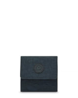 KPKI00534DX_1