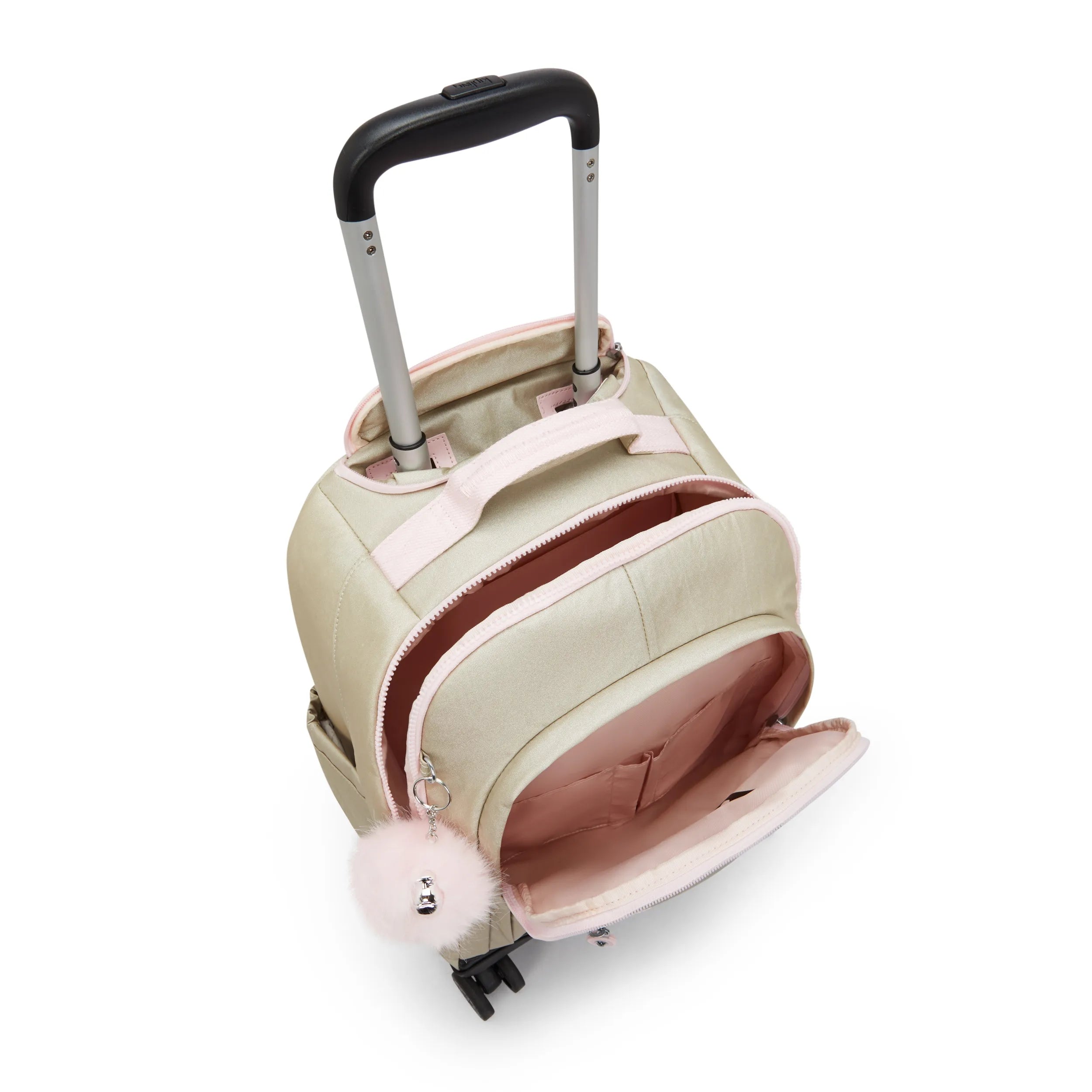 ポリンキー New Zea 15