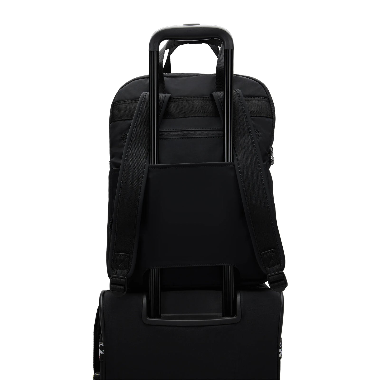 Kazuki Large 15