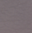 Cool Grey Tonal