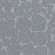 Grey Snake