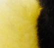 Happy Yellow